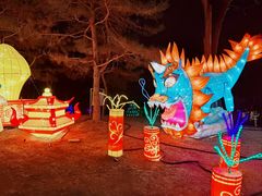 -南宫五洲植物乐园