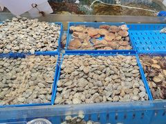 -双合园·海鲜水饺青岛菜(万佳广场店)