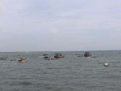 -北海金海湾红树林生态旅游区