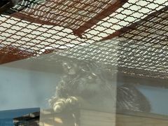 -青藏高原野生动物园