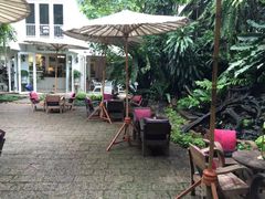 -Fern Forest Cafe