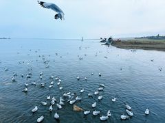-青海湖二郎剑景区