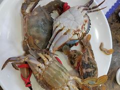 -青岛蓝海大饭店·爱琴海自助餐厅(崂山店)