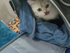 -佑安动物医院·全科·内窥镜中心(幸福巷店)