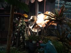 -元鼎宝驴香·全驴宴(江宁店)