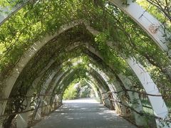 -天津东丽湖风景区