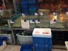 iphone_upload_pic-天津乾毓德饭庄·清真传统炒菜·海鲜烧烤(咸阳路店)