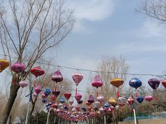 -青龙湖公园