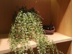 -左悦·艾灸调理·推拿按摩·精油SPA(卓悦汇店)