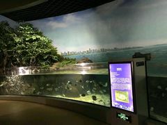 -福州罗源湾海洋世界旅游区