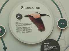 -下渚湖国家湿地公园科普馆