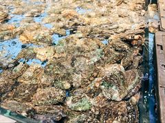-川骄海鲜自助(河东店)