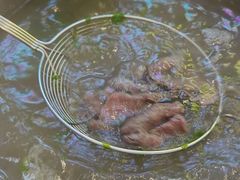 -牛吉韵·鲜切牛肉自助火锅(南山店)