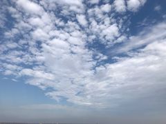 -奉贤海滩