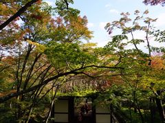 -常寂光寺
