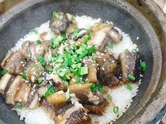 -红星光发煲仔饭(大石街店)