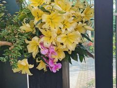 -上海鲜花港