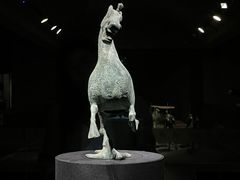 -甘肃地质博物馆