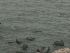 -东钱湖旅游度假区