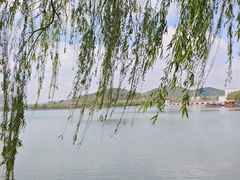 -济南国际园博园