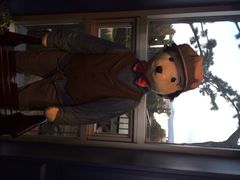 泰迪熊四-济州岛泰迪熊博物馆