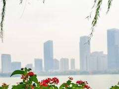 -天鹅湖体育公园