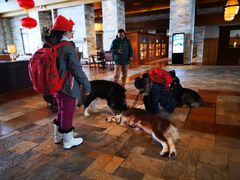 -长白山凯悦酒店·市集咖啡厅