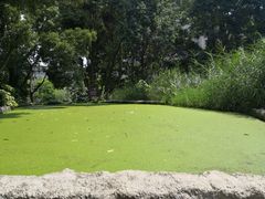 -成都市活水公园