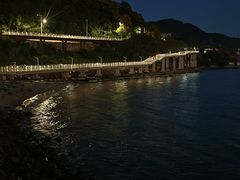 -旺富东海大酒楼(海鲜街店)