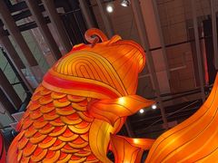-天辣(金桥啦啦宝都店)