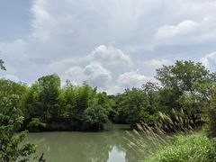 -西溪国家湿地公园