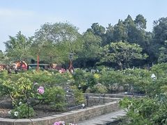 -国家植物园南园