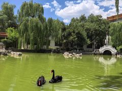 -舜耕山庄四时万和自助餐厅