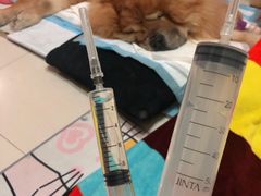 -美联众合爱康动物医院•复杂内科•肿瘤科•牙科•腔镜诊疗中心