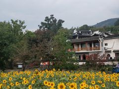 -塔川景区