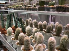 -KKV(深圳宏发大仟里店)