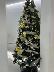 -JIE FLYING·烫发·染发