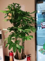 -唯伊美塑身美养连锁