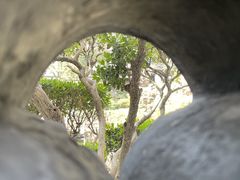 -豫园