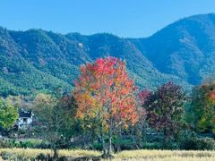 -塔川景区