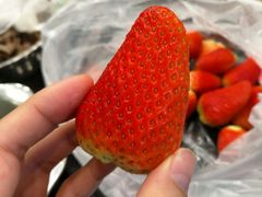 -蝎王府羊蝎子(西直门店)