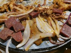 -胖记烤肉(湖大店)