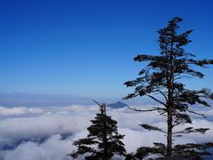 -瓦屋山景区