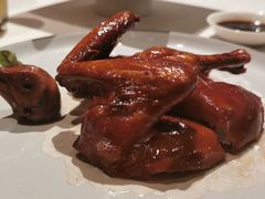 乳鸽-三号黄浦会Canton Table