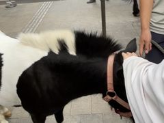 -深圳湾万象城(南山店)