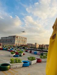 -小蜜蜂农场(凯德七宝购物广场店)