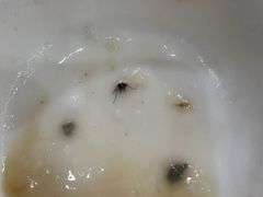 -恒宝和宴(合生广场店)