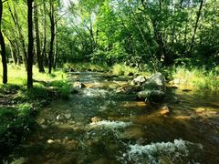 -玉渡山自然风景区