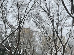 -南长河公园