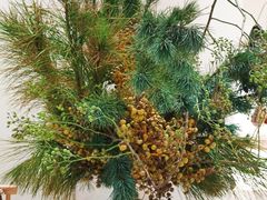 -深圳湾万象城(南山店)